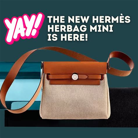 hermes mini herbag